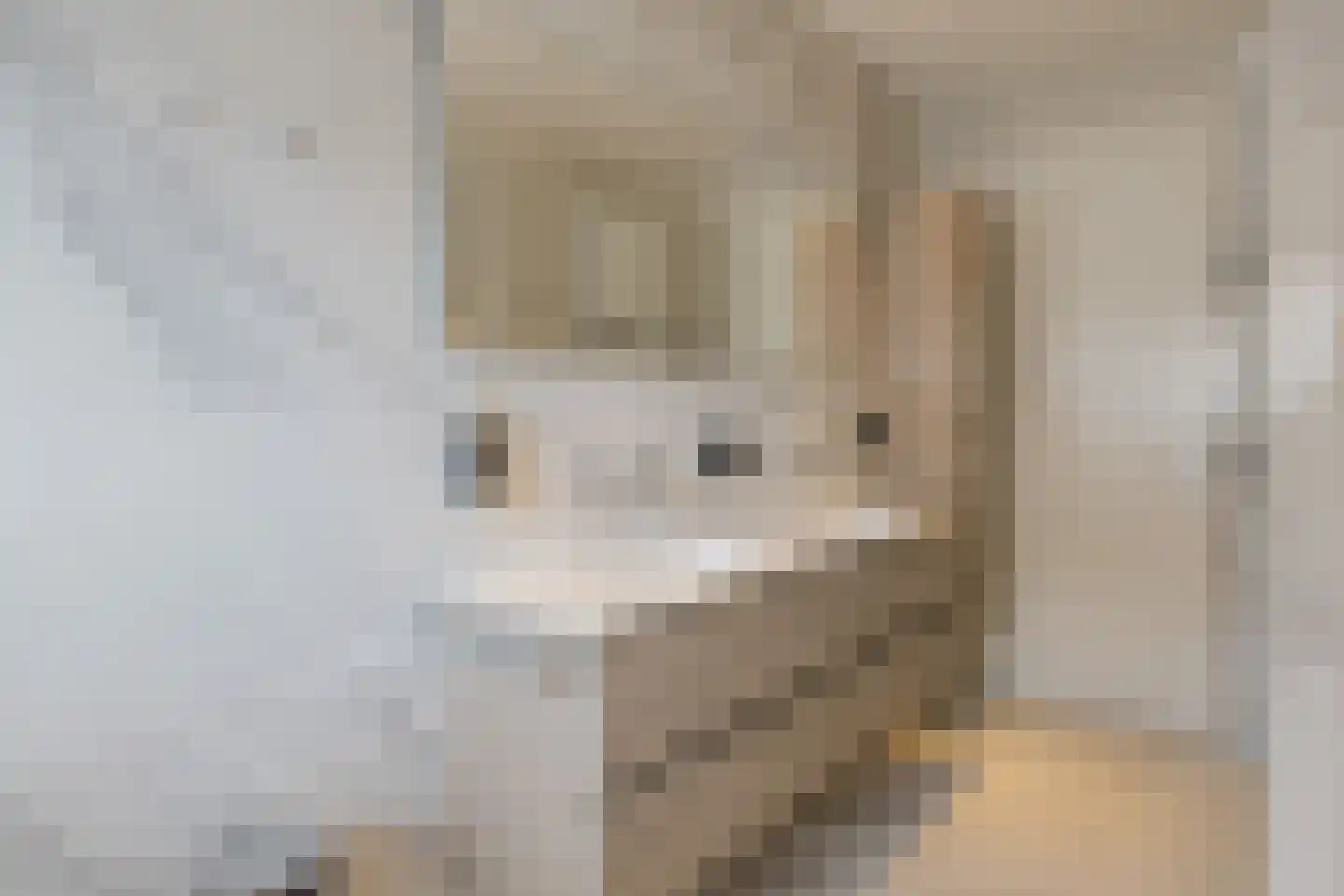 Nieuwe Voorstraat 23 Noordwijk thumbnail 33
