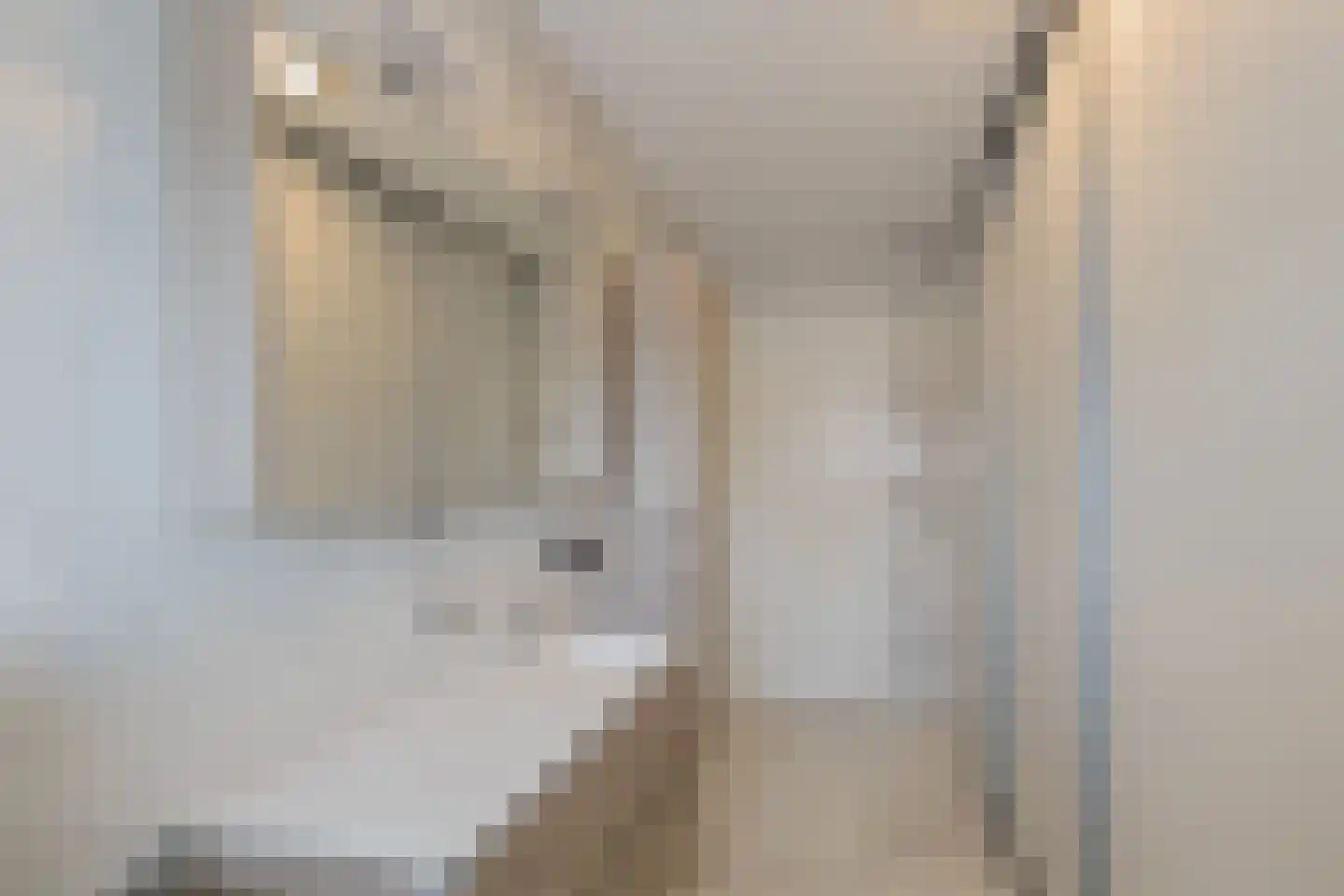 Nieuwe Voorstraat 23 Noordwijk thumbnail 35
