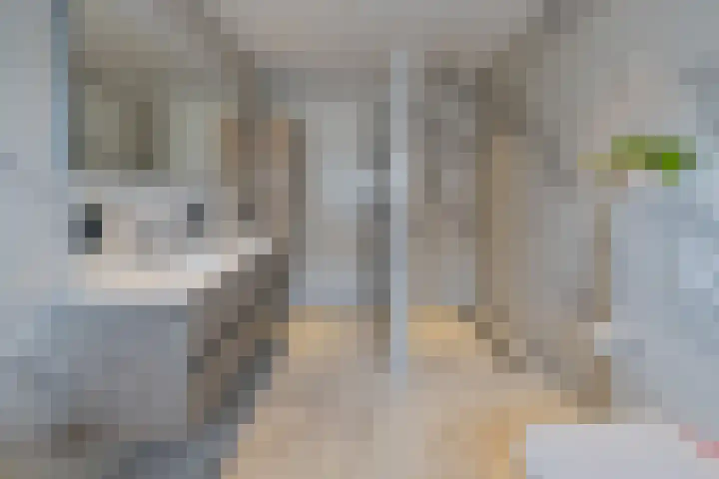 Nieuwe Voorstraat 23 Noordwijk thumbnail 4