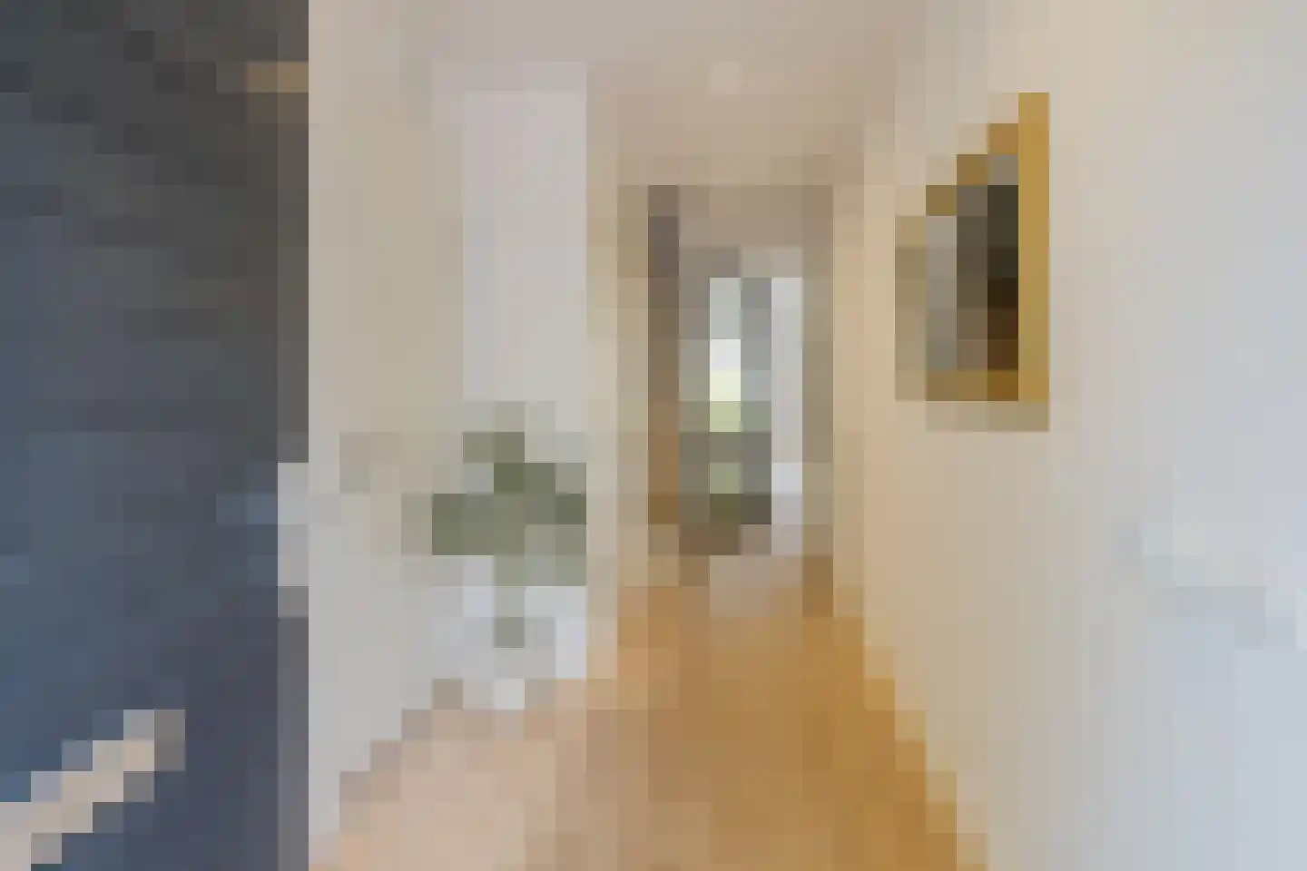 Nieuwe Voorstraat 23 Noordwijk thumbnail 5