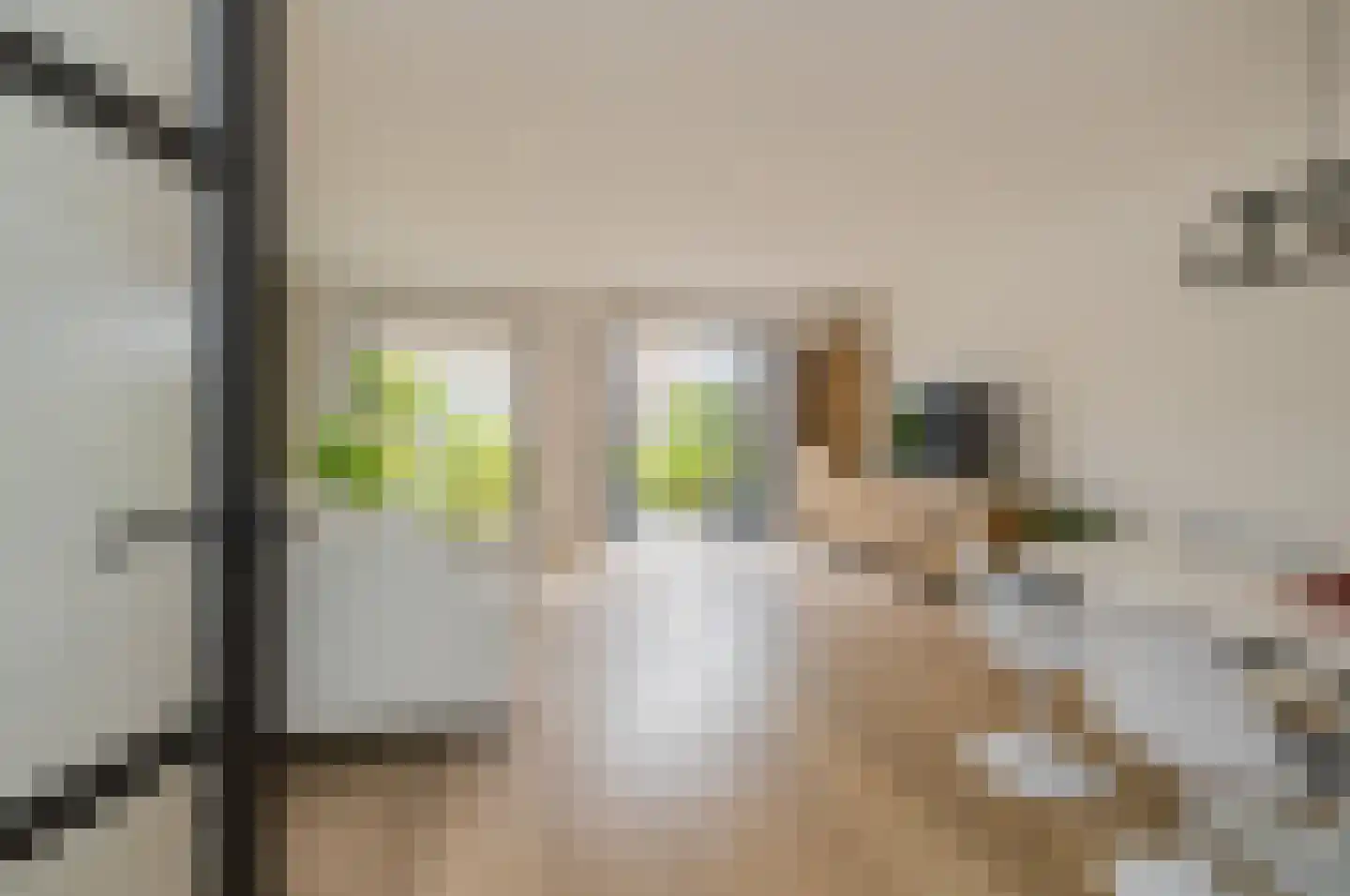 Nieuwe Voorstraat 23 Noordwijk thumbnail 6