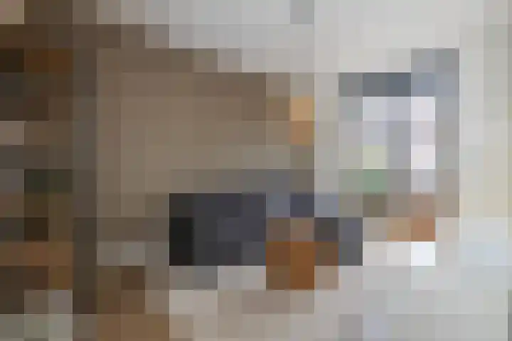Nieuwe Voorstraat 29 Noordwijk thumbnail 13