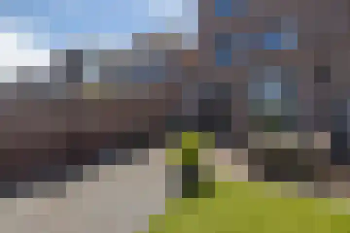 Nieuwe Voorstraat 29 Noordwijk thumbnail 29