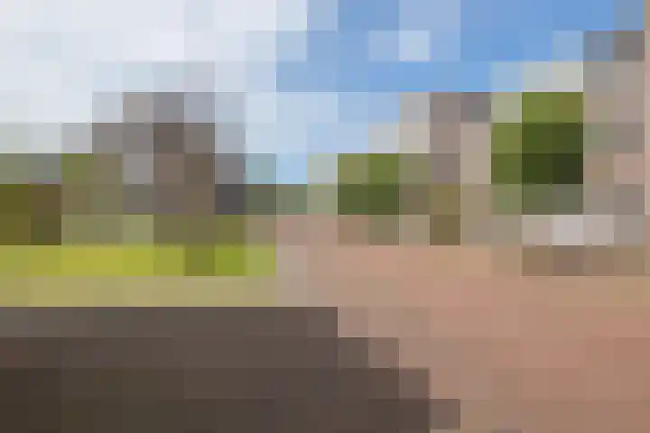 Nieuwe Voorstraat 29 Noordwijk thumbnail 36