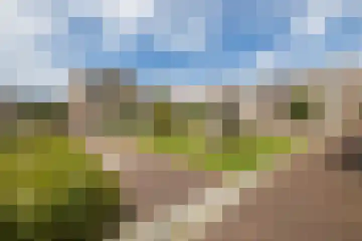 Nieuwe Voorstraat 29 Noordwijk thumbnail 38