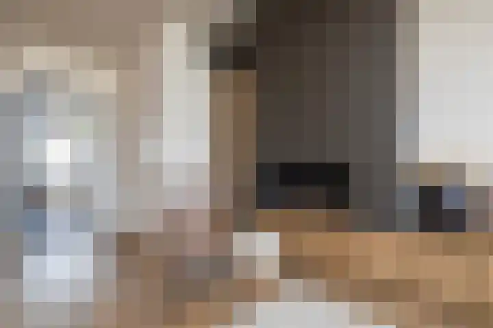 Nieuwe Voorstraat 29 Noordwijk thumbnail 8