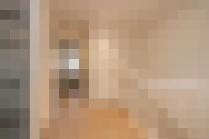 Nieuwe Voorstraat 30 Noordwijk thumbnail 20