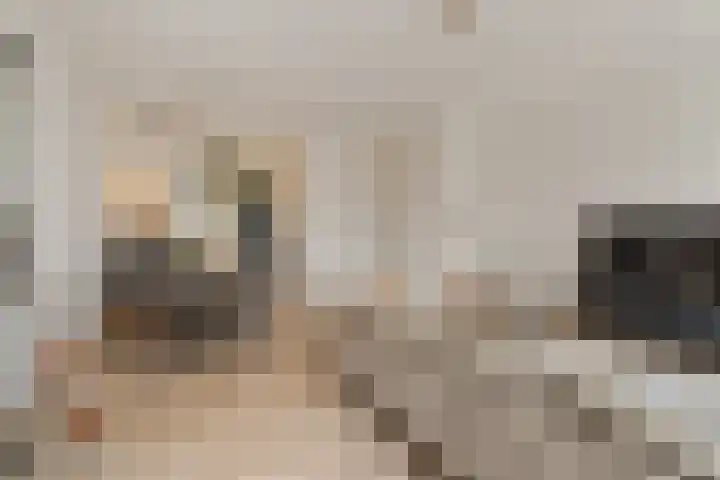 Nieuwe Voorstraat 37 Noordwijk thumbnail 10