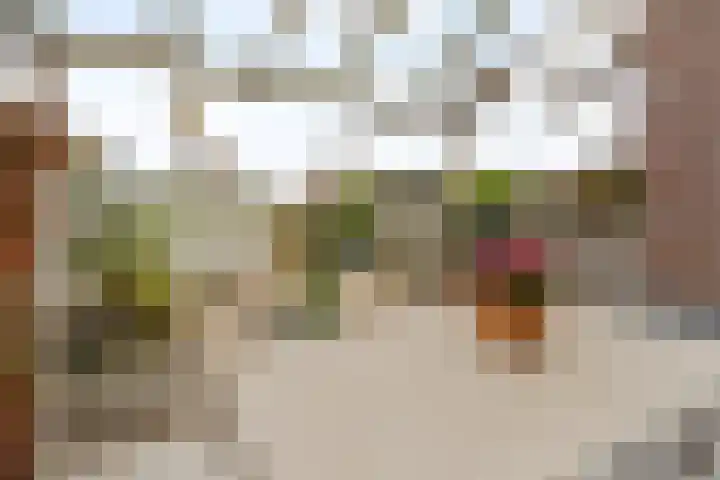 Nieuwe Voorstraat 37 Noordwijk thumbnail 16