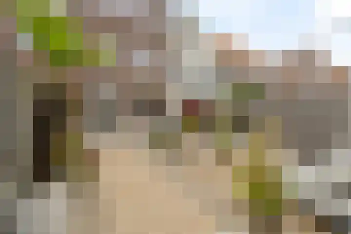 Nieuwe Voorstraat 37 Noordwijk thumbnail 17