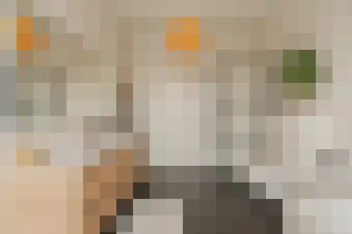 Nieuwe Voorstraat 37 Noordwijk thumbnail 25