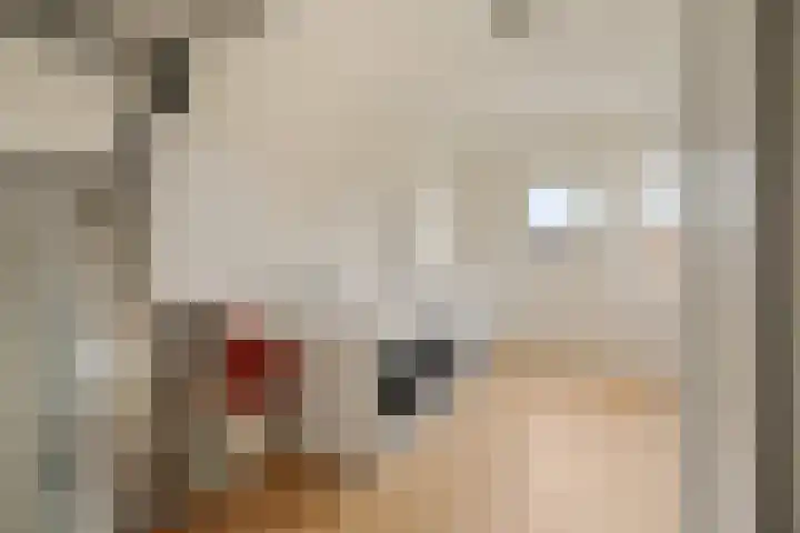 Nieuwe Voorstraat 37 Noordwijk thumbnail 32