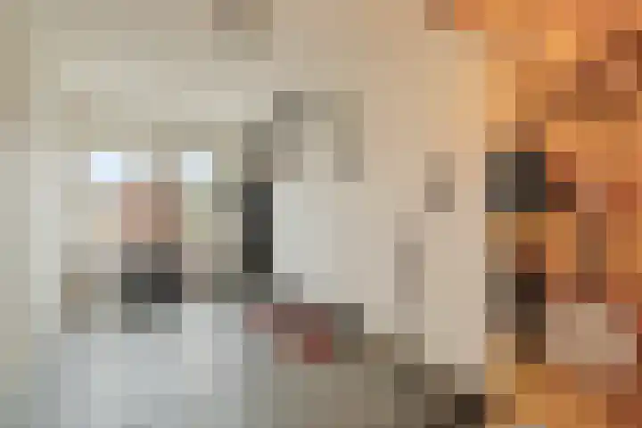 Nieuwe Voorstraat 37 Noordwijk thumbnail 33