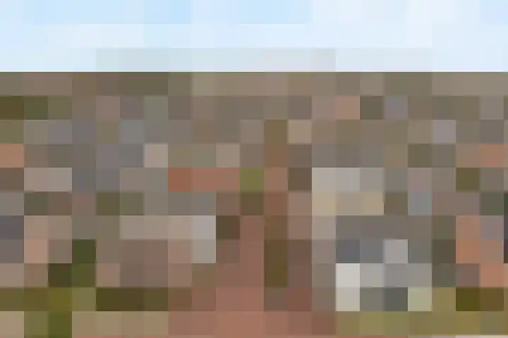 Nieuwe Voorstraat 37 Noordwijk thumbnail 35
