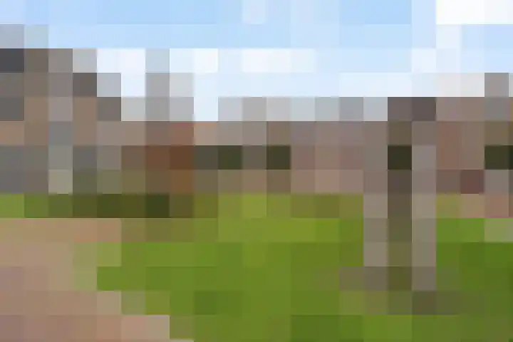Nieuwe Voorstraat 37 Noordwijk thumbnail 5