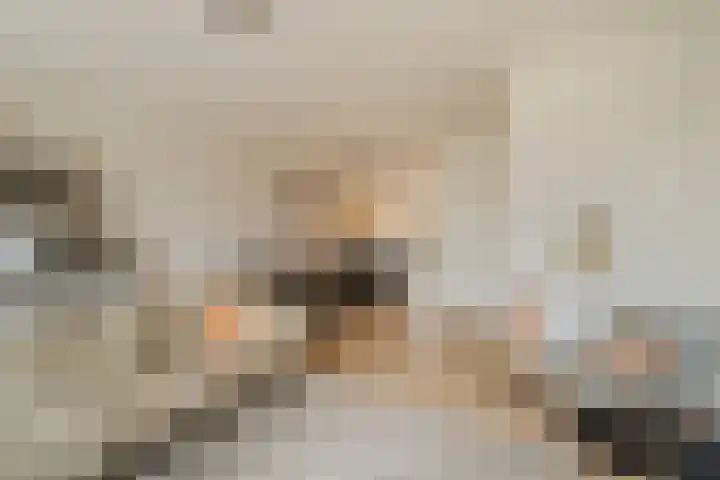 Nieuwe Voorstraat 37 Noordwijk thumbnail 7
