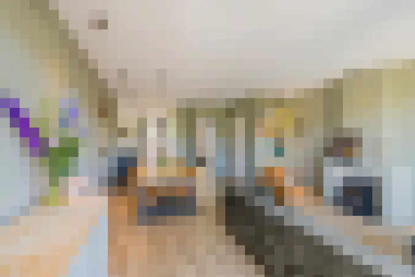Nieuwe Voorstraat 72 Noordwijk thumbnail 11