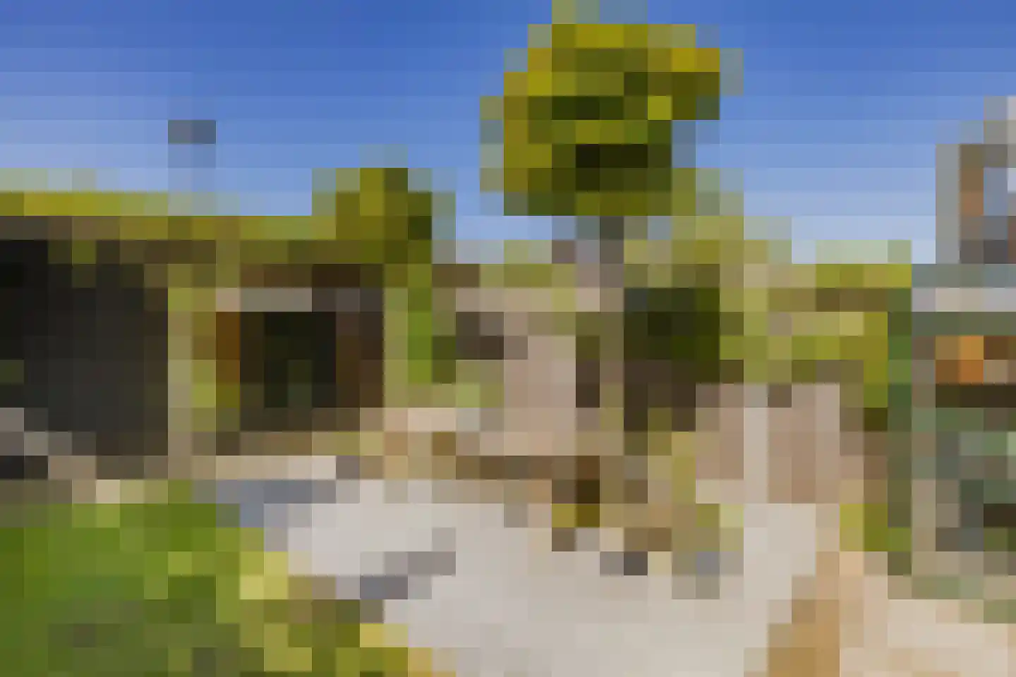 Nieuwe Voorstraat 72 Noordwijk thumbnail 38