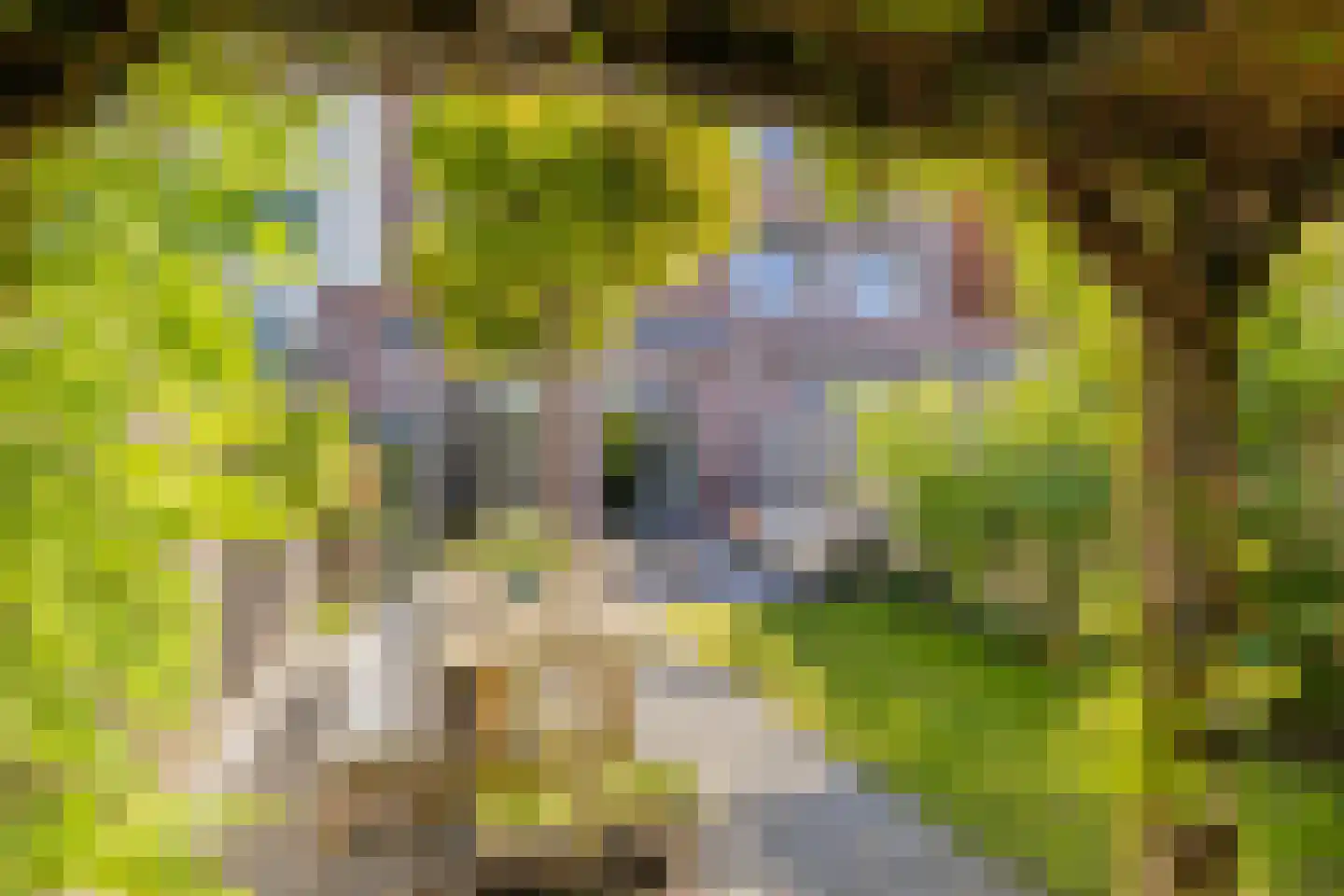 Nieuwe Voorstraat 72 Noordwijk thumbnail 39