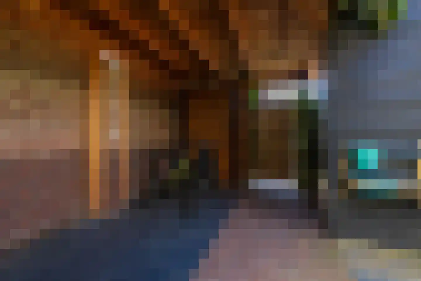 Nieuwe Voorstraat 74 Noordwijk thumbnail 23