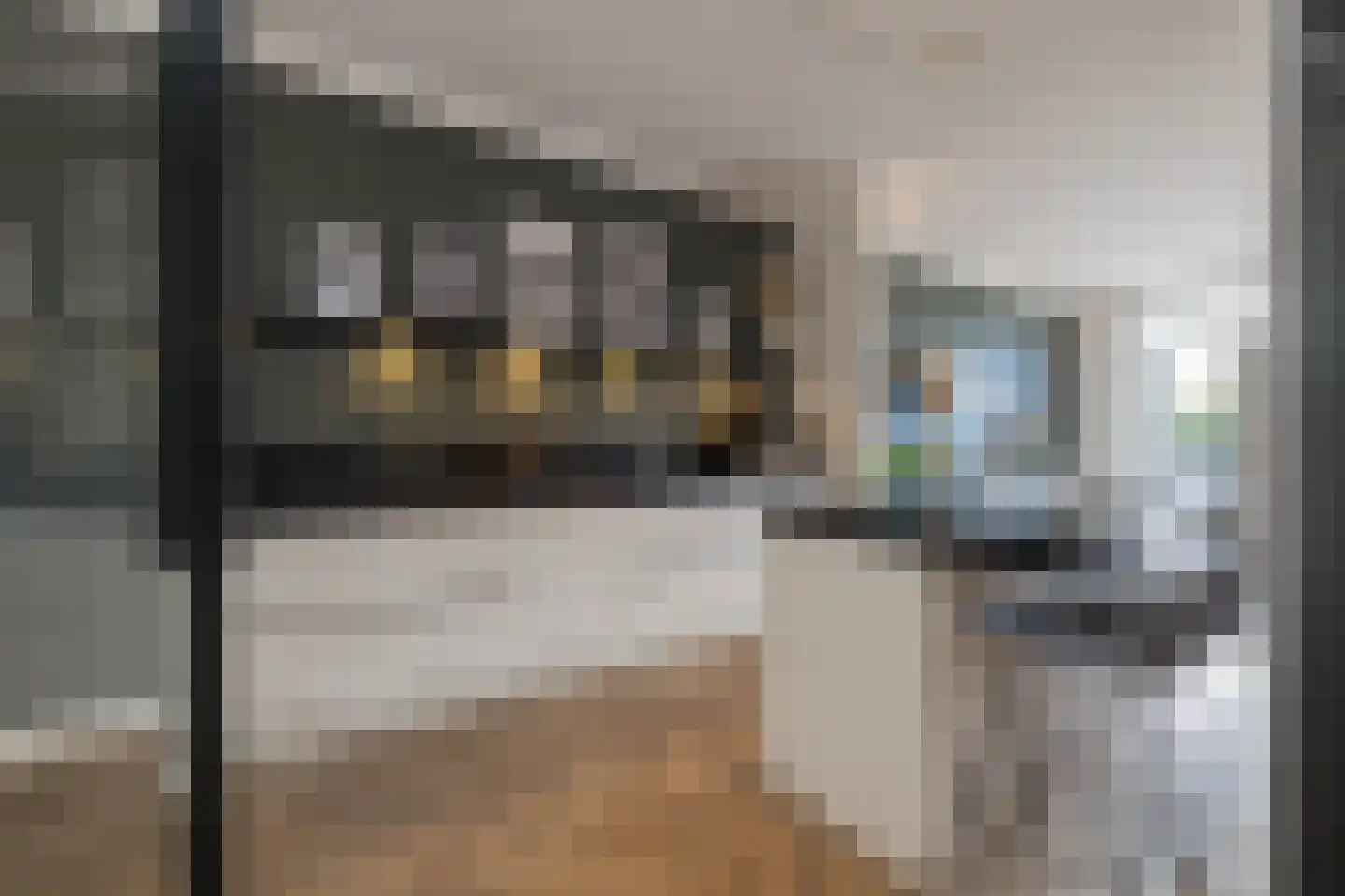 Nieuwe Voorstraat 74 Noordwijk thumbnail 7