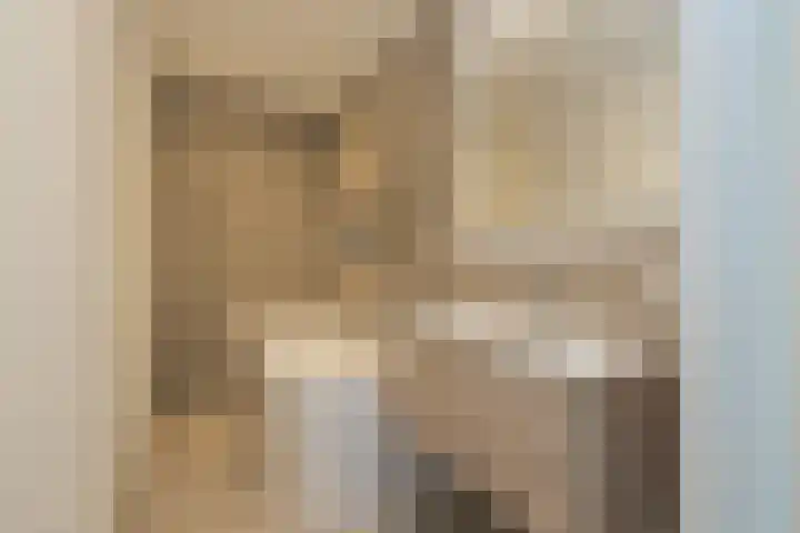 Nieuwe Voorstraat 77 Noordwijk thumbnail 32