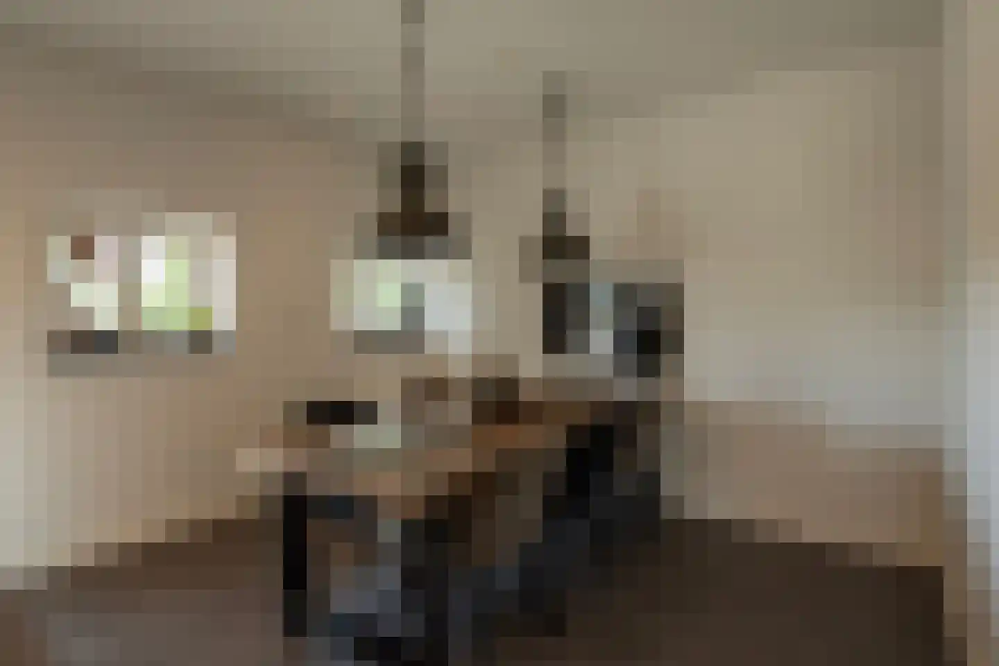 Nieuwe Voorthuizerweg 10 Nijkerk thumbnail 13
