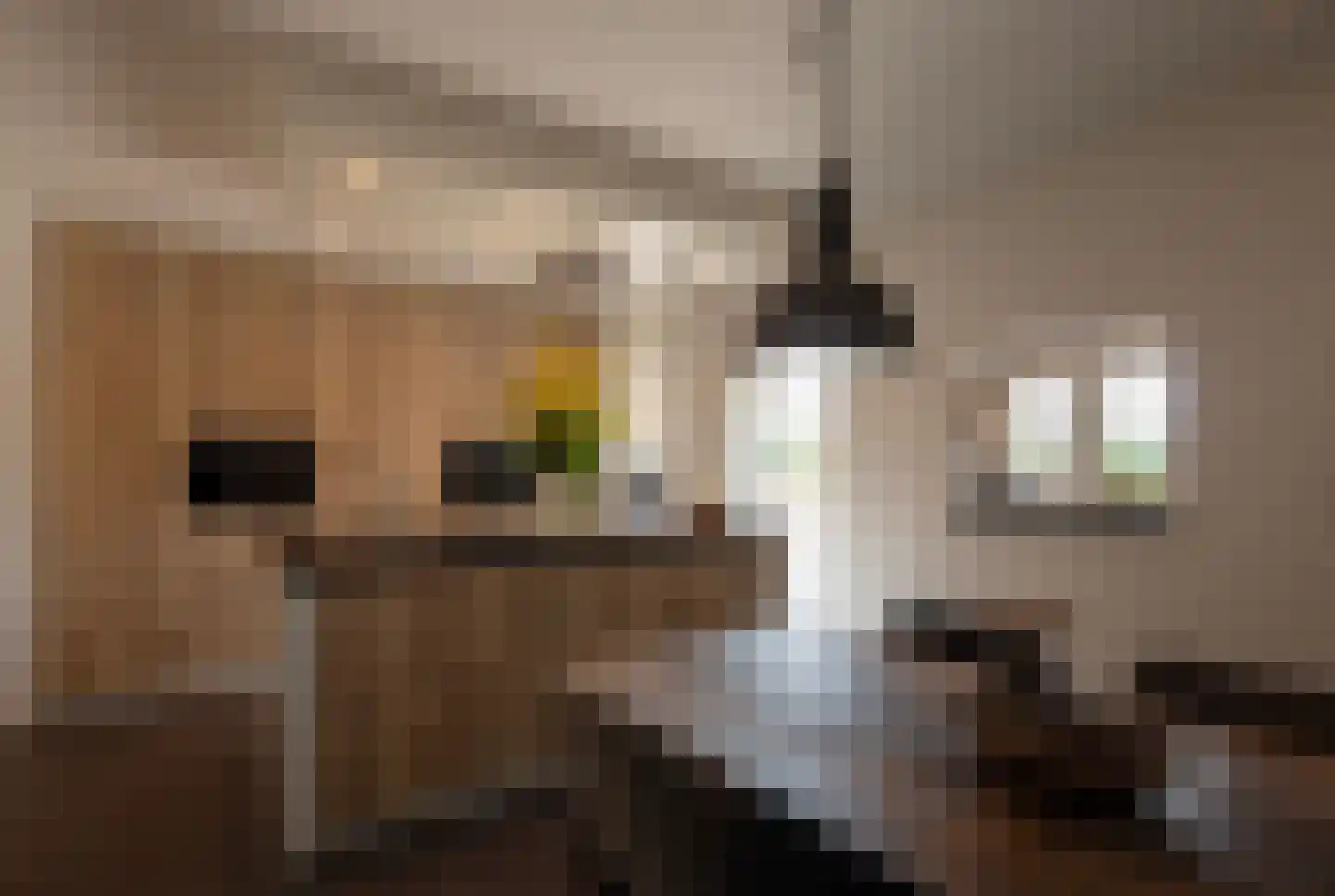Nieuwe Voorthuizerweg 10 Nijkerk thumbnail 14