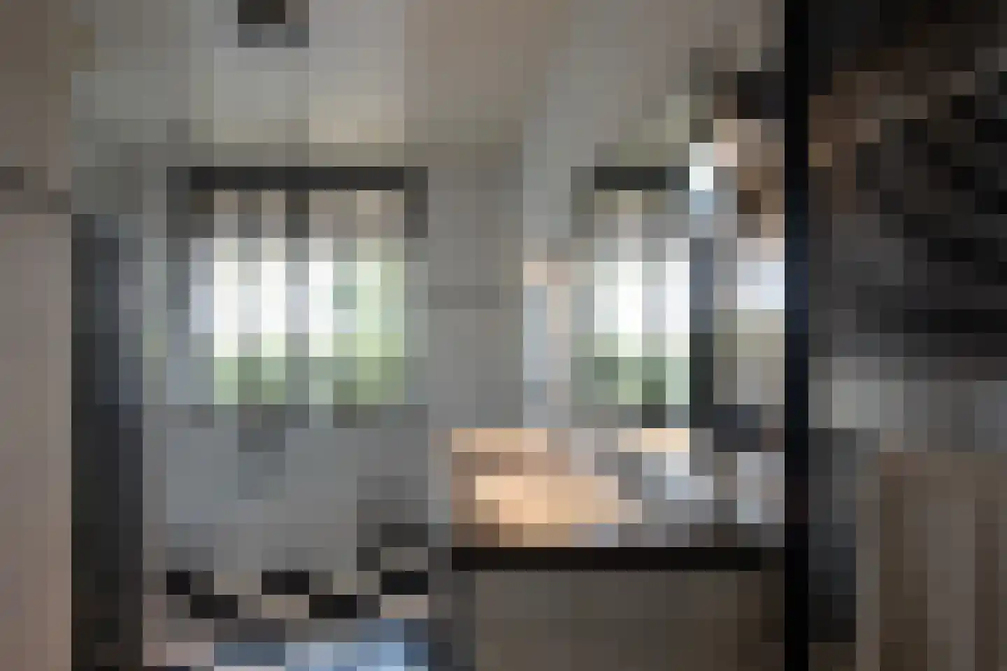 Nieuwe Voorthuizerweg 10 Nijkerk thumbnail 22