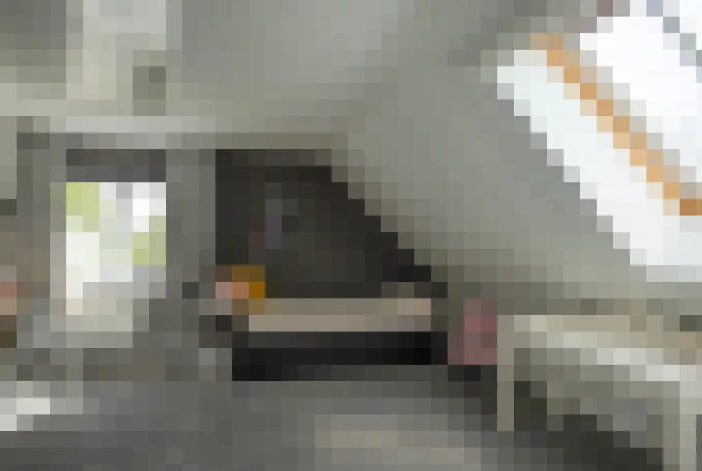 Nieuwe Voorthuizerweg 10 Nijkerk thumbnail 23