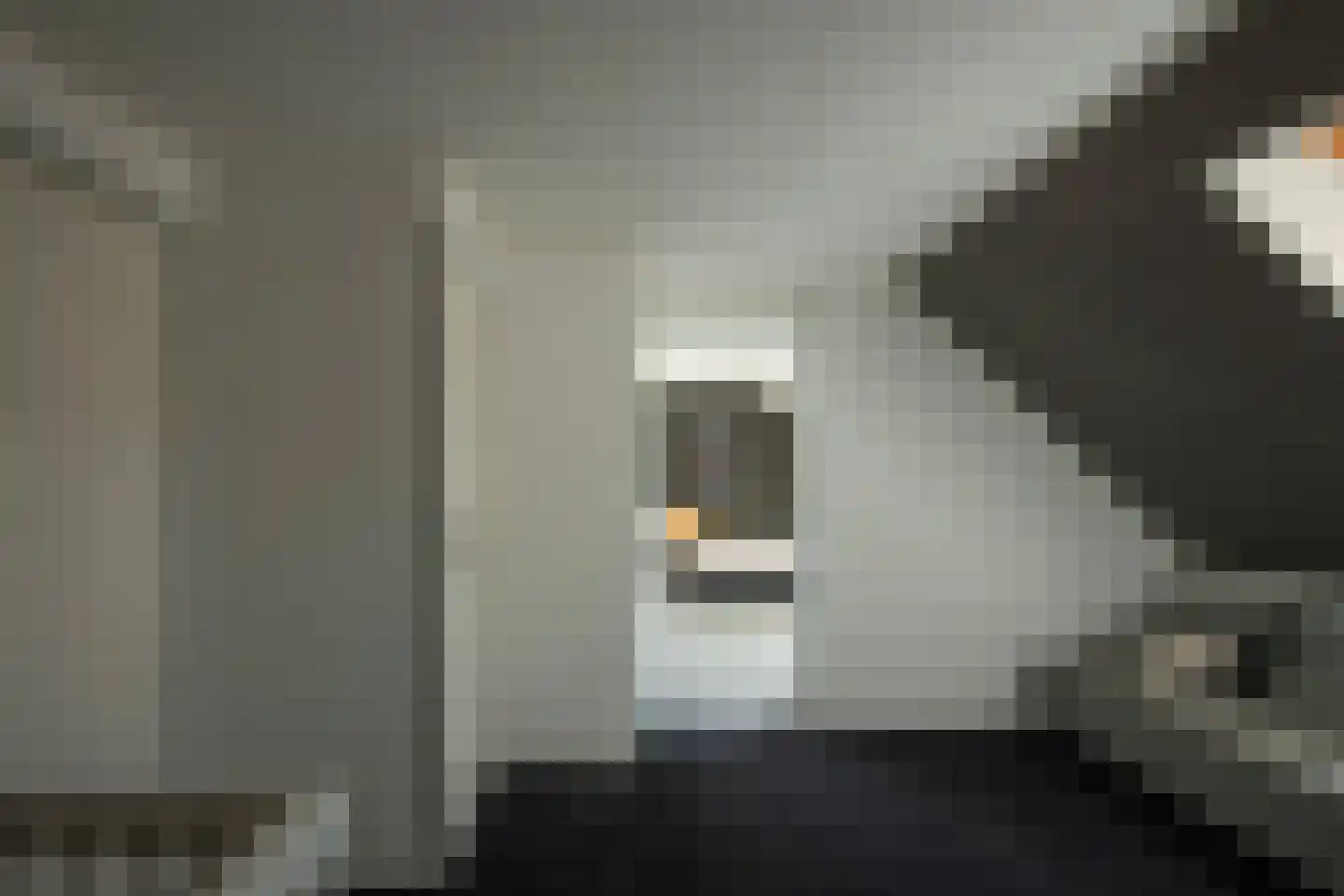 Nieuwe Voorthuizerweg 10 Nijkerk thumbnail 24
