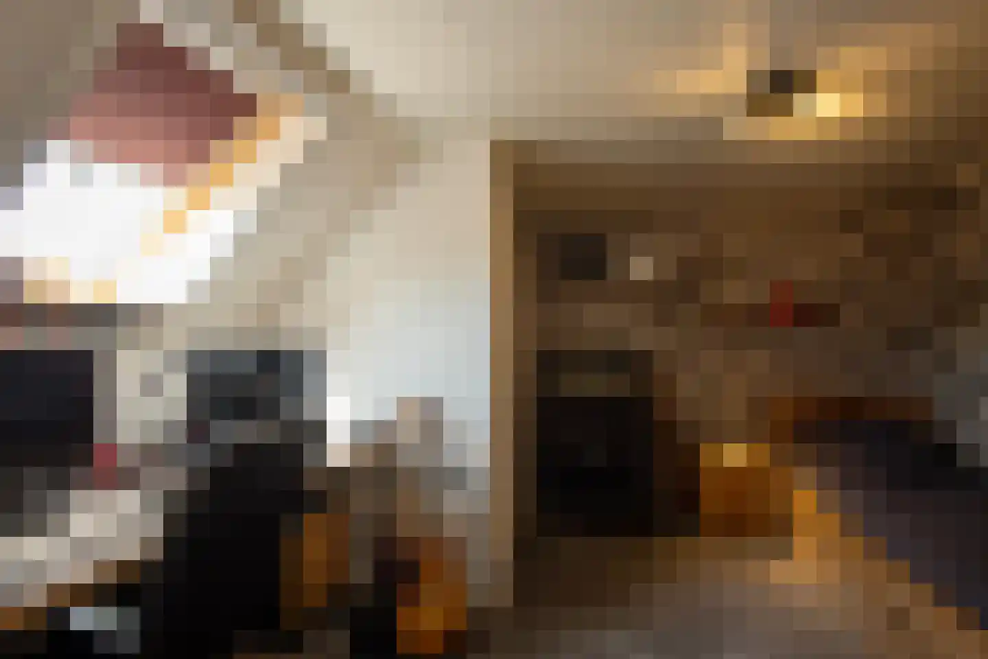 Nieuwe Voorthuizerweg 10 Nijkerk thumbnail 25