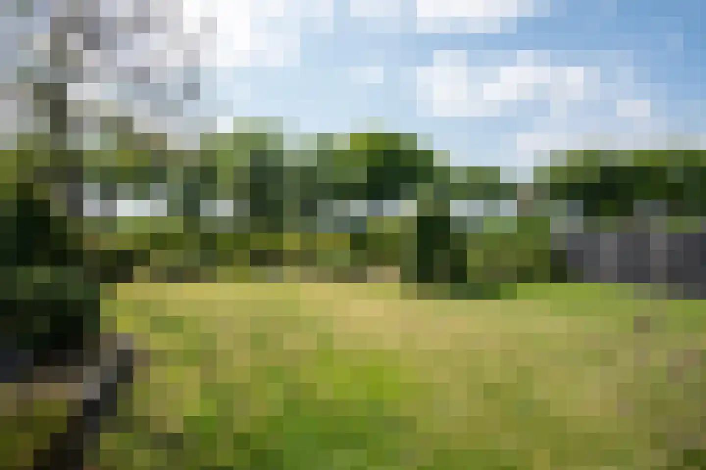 Nieuwe Voorthuizerweg 10 Nijkerk thumbnail 39