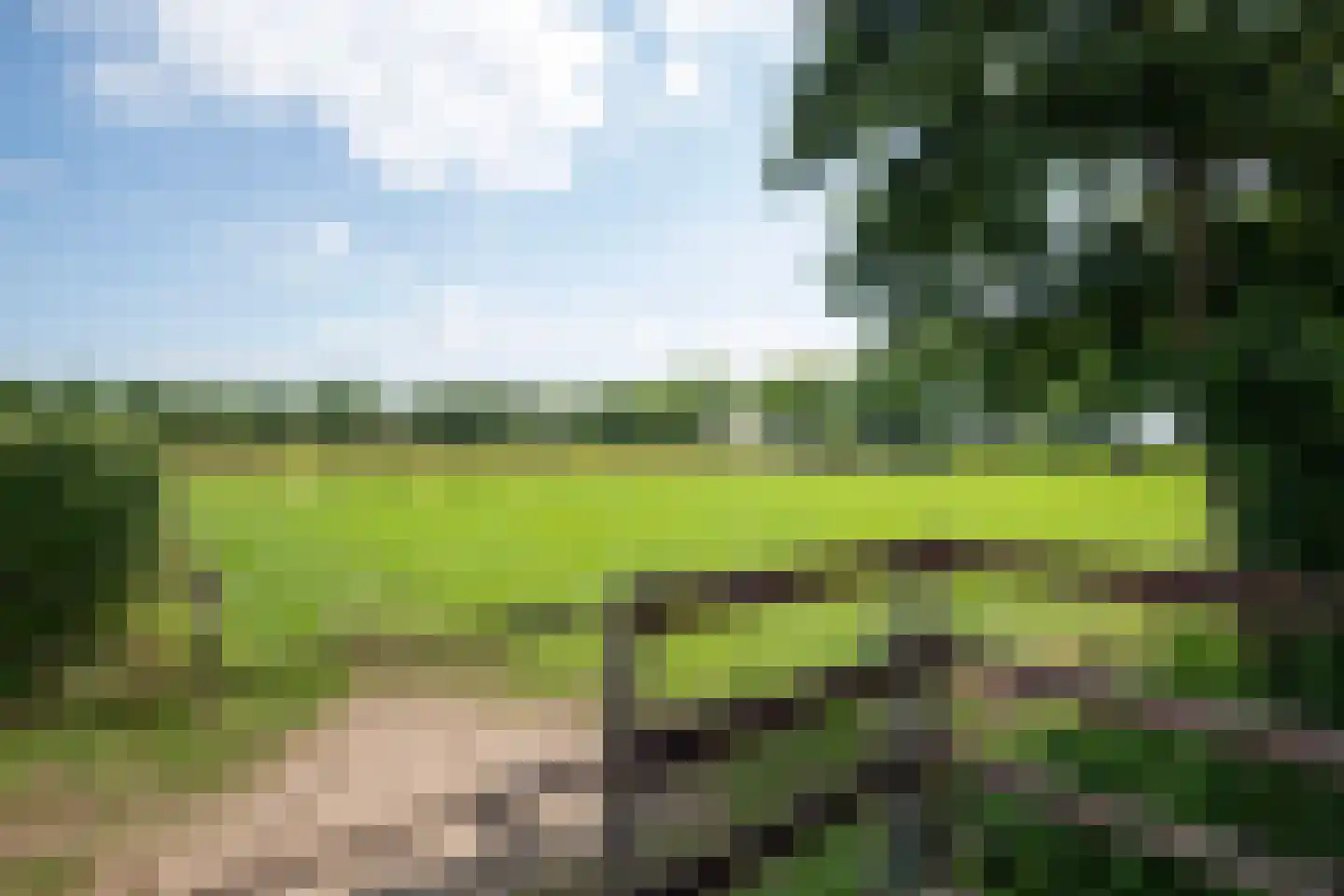 Nieuwe Voorthuizerweg 10 Nijkerk thumbnail 48