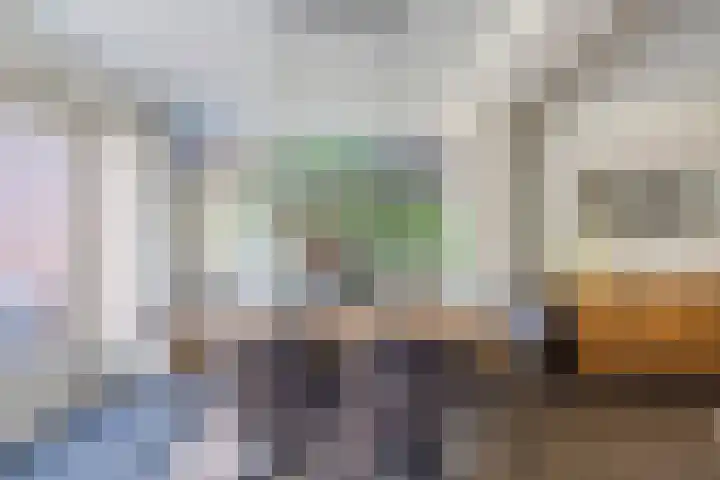 Nieuwe Waalreseweg 18 Valkenswaard thumbnail 10