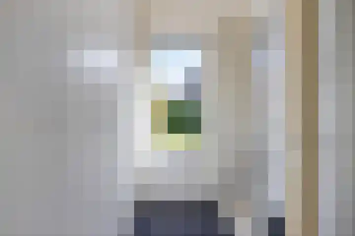 Nieuwe Waalreseweg 18 Valkenswaard thumbnail 14