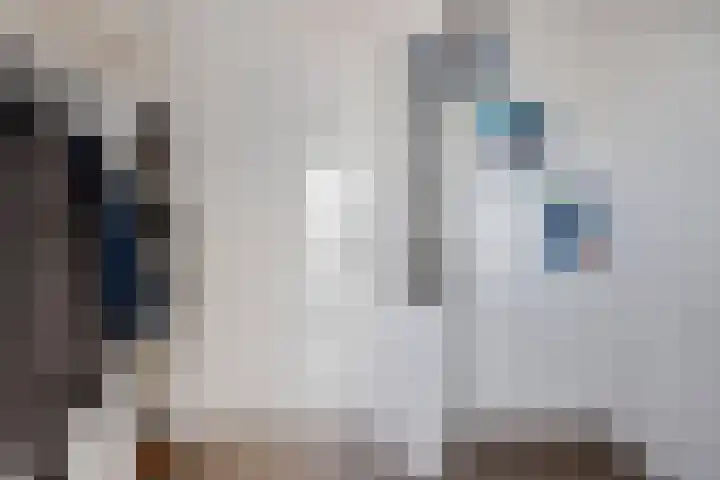 Nieuwe Waalreseweg 18 Valkenswaard thumbnail 24