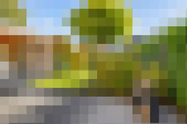 Nieuwe Waalreseweg 18 Valkenswaard thumbnail 30