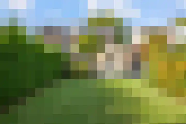Nieuwe Waalreseweg 18 Valkenswaard thumbnail 31