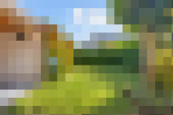 Nieuwe Waalreseweg 18 Valkenswaard thumbnail 33