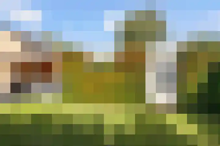 Nieuwe Waalreseweg 18 Valkenswaard thumbnail 35