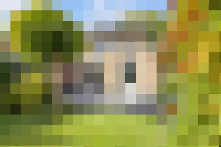 Nieuwe Waalreseweg 18 Valkenswaard thumbnail 36