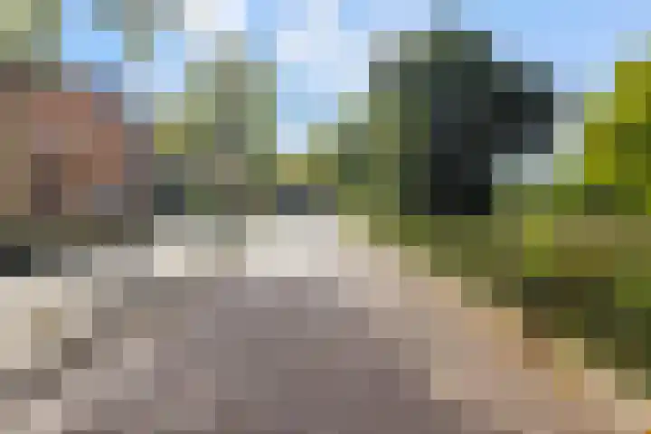 Nieuwe Waalreseweg 18 Valkenswaard thumbnail 38