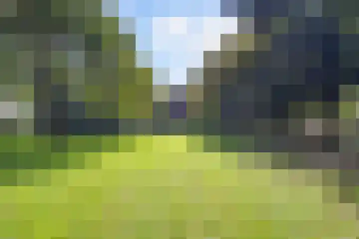 Nieuwe Waalreseweg 18 Valkenswaard thumbnail 40