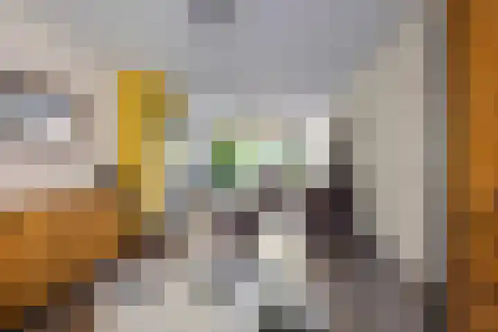 Nieuwe Waalreseweg 18 Valkenswaard thumbnail 5