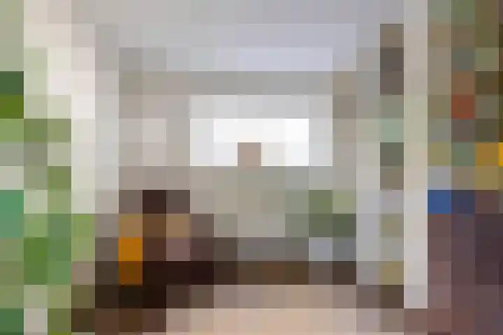 Nieuwe Waalreseweg 18 Valkenswaard thumbnail 6