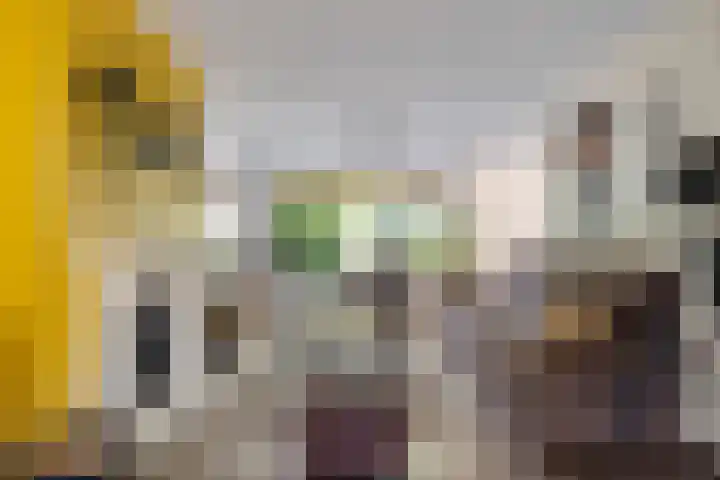Nieuwe Waalreseweg 18 Valkenswaard thumbnail 7