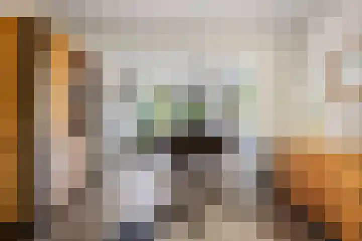 Nieuwe Waalreseweg 18 Valkenswaard thumbnail 8