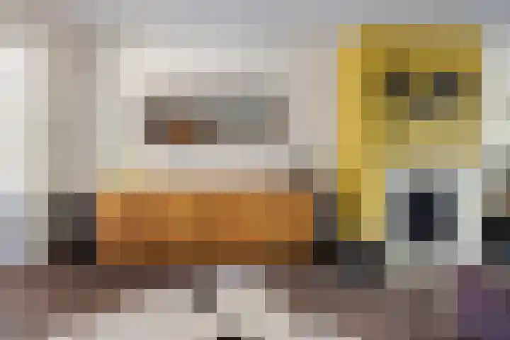 Nieuwe Waalreseweg 18 Valkenswaard thumbnail 9