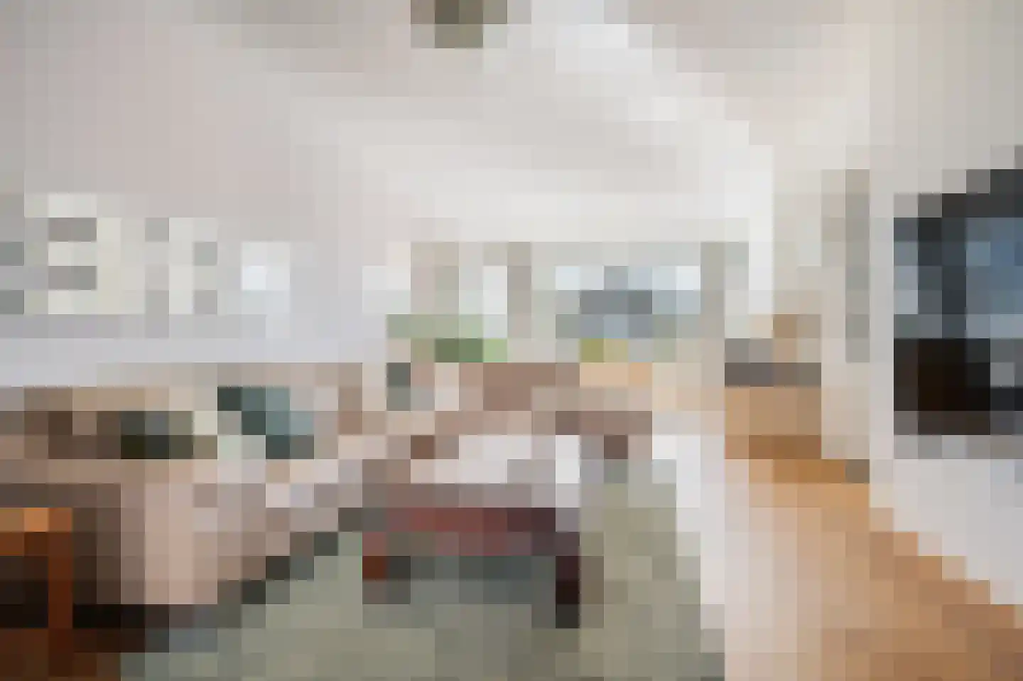 Nieuwe Waalreseweg 2 Valkenswaard thumbnail 11